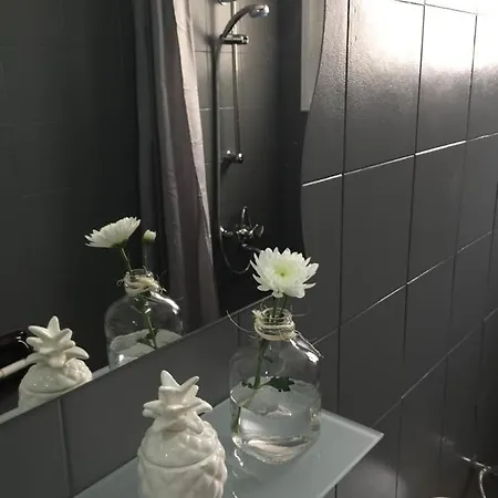 Deluxe City Center Apartment *